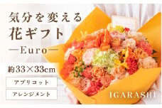 気分を変える花ギフト Euro(アレンジメント・アプリコット) [aw062-c003_05]