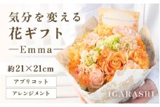 気分を変える花ギフト Emma(アレンジメント・アプリコット) [aw062-a006_05]