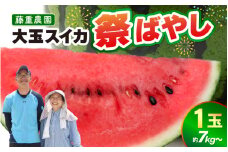 【先行予約】藤重農園の大玉スイカ『祭ばやし』 1玉（7kg～） ≪満足度高い大きなスイカ≫※2026年6月中旬以降順次発送 [aw083-a001]