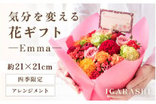 気分を変える花ギフト Emma(アレンジメント・四季限定アイテム) [aw062-a006_09]