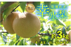 【先行予約】上野梨園の幸水梨 約3kg 4L～6L【秀品】《数量限定》梨園直送！ / 期間限定 果物 フルーツ 農家直送 シャキシャキ もぎたて 旬 お取り寄せ ※2025年8月下旬より順次発送 [aw077-a006]