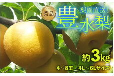 【先行予約】上野梨園の豊水梨 約3kg 4L～6L【秀品】《数量限定》梨園直送！ / 期間限定 果物 フルーツ 農家直送 シャキシャキ もぎたて 旬 お取り寄せ ※2025年9月上旬より順次発送 [aw077-a007]