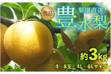 【先行予約】上野梨園の豊水梨 約3kg 4L～6L【秀品】《数量限定》梨園直送！ / 期間限定 果物 フルーツ 農家直送 シャキシャキ もぎたて 旬 お取り寄せ ※2025年9月上旬より順次発送 [aw077-a007]