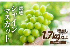 【先行予約】厳選シャインマスカット 1.7kg以上（3～4房）【種なし】フルーツパークOKAYU ※2025年9月中旬より順次発送 [aw007-b004]