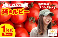 【先行予約】ミディトマト【越のルビー】 1kg（5パック） ／ 高糖度 完熟 福井県 あわら市産 低農薬 福井ブランド ジューシー トマトが苦手な人にも 農家直送 朝採れ 完熟収穫 ※2025年6月中旬より順次発送予定 [aw088-a001]