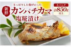 カンパチカマ塩糀漬け（5パック） ／ カンパチ 塩糀漬け ビール お父さん おつまみ 朝食 弁当 魚介類 海の幸 お取り寄せ 人気 福井県 あわら市 日本海 魚 かんぱち [aw002-a009]