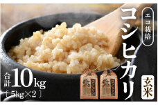 【先行予約】【令和7年産 新米】エコ栽培コシヒカリ 玄米10kg（5kg×2） ／ 鮮度抜群 福井県産 こしひかり ご飯 新鮮 玄米 ※2025年10月上旬より準備出来次第発送 [aw063-b007]