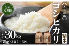 【先行予約】【令和7年産 新米】《定期便3回》エコ栽培コシヒカリ 白米10kg（5kg×2袋）計30kg ／ 鮮度抜群 福井県産 こしひかり ご飯 新鮮 白米 ※2025年10月上旬より準備出来次第発送 [aw063-g001]