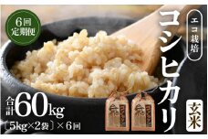 【先行予約】【令和7年産 新米】《定期便6回》エコ栽培コシヒカリ 玄米10kg（5kg×2袋）計60kg ／ 鮮度抜群 福井県産 こしひかり ご飯 新鮮 玄米 ※2025年10月上旬より準備出来次第発送 [aw063-k001]