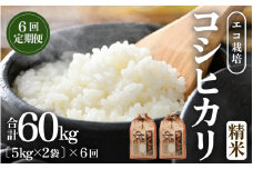 【先行予約】【令和7年産 新米】《定期便6回》エコ栽培コシヒカリ 白米10kg（5kg×2袋）計60kg ／ 鮮度抜群 福井県産 こしひかり ご飯 新鮮 白米 ※2025年10月上旬より準備出来次第発送 [aw063-l004]