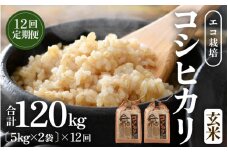 【先行予約】【令和7年産 新米】《定期便12回》エコ栽培コシヒカリ 玄米10kg（5kg×2袋）計120kg ／ 鮮度抜群 福井県産 こしひかり ご飯 新鮮 玄米 ※2025年10月上旬より準備出来次第発送 [aw063-o002]