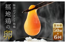 【6ヶ月連続お届け】 福井ブランド 「福地鶏」 の卵 50個 濃厚で甘くておいしい！ （25個入×2段） 定期便 ／ 卵 たまご 鶏卵 生卵 有精卵 高級 高級卵 福地鶏 鶏 平飼い 美味しい こだわり 6ヶ月 定期便 卵かけご飯 料理 あわら市 福井県産 [aw036-h002]