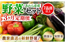 【3ヶ月連続お届け】農家直送 旬の野菜セット 7品目以上 1箱 ／ 定期便 3回 季節 野菜 ボックス BOX セット セレクト 農家 おまかせ 多品目 旬 詰め合わせ 根菜 葉物 [aw028-a020]