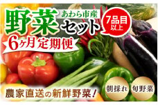 【6ヶ月連続お届け】農家直送 旬の野菜セット 7品目以上 1箱 ／ 定期便 6回 季節 野菜 ボックス BOX セット セレクト 農家 おまかせ 多品目 旬 詰め合わせ 根菜 葉物 [aw028-c003]