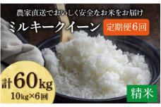 【先行予約】【令和7年産・新米】《定期便6回》ミルキークイーン 精米 10kg（5kg×2袋） JGAP認証米 / 米 10キロ 一等米 福井県産 ブランド米 ご飯 白米 お米 コメ 新鮮 小分け 定期便 6回 新米 ※2025年10月上旬より順次発送 [aw094-l001]