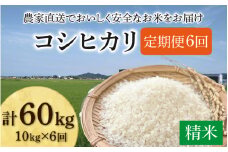 【先行予約】【令和7年産・新米】《定期便6回》コシヒカリ 精米 10kg（5kg×2袋) JGAP認証米 / 米 10キロ 一等米 福井県産 ブランド米 ご飯 白米 お米 コメ 新鮮 小分け 定期便 6回 新米 ※2025年10月上旬より順次発送 [aw094-k001]