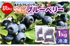 【訳あり】【冷凍】あわらフルーツランドのブルーベリー 1kg 500g×2袋 【完熟】 / フルーツ 果物 くだもの 福井県 あわら市 小分け 便利 たっぷり 完熟 ご当地 国産 おすすめ [aw091-a001]