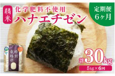 【令和6年産】【定期便6回】 化学肥料不使用ハナエチゼン 精米 5kg×6回（計30kg） / 米 白米 福井県あわら市産 ブランド米 美味しい 特別栽培米  安心な米 旨味 甘み エコファーマー 冷蔵保管米 新米 [aw010-f001]