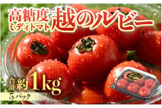 【先行予約】高糖度 ミディトマト 越のルビー パック入り 約1kg 5パック（25～45個入） / 福井県産 ブランド トマト 福井県産ブランドトマト  農家直送 有機肥料 低農薬 完熟 甘い ※2025年9月中旬より順次発送 [aw069-a009]