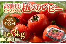 【先行予約】《定期便3回》高糖度 ミディトマト 越のルビー 約1kg 5パック（計約3kg） / 福井県産 ブランド トマト 福井県産ブランドトマト  農家直送 有機肥料 低農薬 完熟 甘い ※2025年9月中旬より順次発送 [aw069-a001]