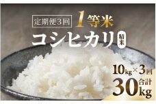 【先行予約】【令和6年産】【一等米】コシヒカリ 精米 10kg 3回定期便（合計30kg） ／ 一等米 福井県産 ブランド米 ご飯 白米 お米 コメ 新鮮 新米 ※2024年10月中旬より順次発送 [aw098-d001]