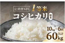 【先行予約】【令和6年産】【一等米】コシヒカリ 精米 10kg 6回定期便（合計60kg） ／ 一等米 福井県産 ブランド米 ご飯 白米 お米 コメ 新鮮 新米 ※2024年10月中旬より順次発送 [aw098-i001]