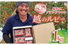 【先行予約】【福井県あわら市産】福井のブランドトマト【完熟 越のルビー】1kg（5パック） / 農家直送 朝採れ ミディトマト ブランドトマト 福井県産 福井 高糖度 フルーツ 野菜 甘い トマトの苦手な人 ※2025年9月上旬より順次発送 [aw056-a018]