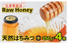 【天然はちみつ】 raw honey あわら蜜 4個 / 非加熱 生産者直送 蜂蜜 ミツバチ 純はちみつ ローヤルゼリー 生はちみつ みつばち [aw101-d001]