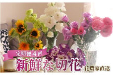 【定期便4回】花農家直送 新鮮な切花【春 夏 秋 冬】 / 生花 お花 旬の花束 豊かな生活 花のある生活 15本程度 2種 季節 年4回 [aw099-d001]