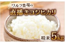 【令和6年産】ワルツ農場の直播き コシヒカリ 精米 5kg / お米 ご飯 白米 発送直前 精米 つや 艶 甘味 旨み あわら市産 福井県産 慣行栽培 コメ 北陸 福井県 あわら市 [aw046-a003]