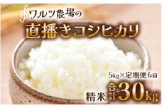 【令和6年産】《定期便6回》ワルツ農場の直播き コシヒカリ 精米 5kg（計30kg） / お米 ご飯 白米 発送直前 精米 つや 艶 甘味 旨み あわら市産 福井県産 慣行栽培 コメ 北陸 福井県 あわら市 こしひかり [aw046-f001]