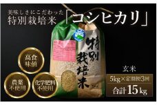 【先行予約】【令和7年産】《定期便3回》コシヒカリ 玄米 5kg （計15kg）特別栽培米 農薬不使用 化学肥料不使用 ／ 残留農薬ゼロ 高品質 鮮度抜群 福井県産 ブランド米 ※2025年10月上旬より順次発送予定 [aw063-c001]