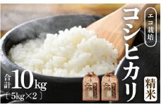 【令和6年産】エコ栽培 コシヒカリ 白米10kg（5kg×2） ／ 米 鮮度抜群 福井県産 こしひかり ご飯 新鮮 白米 [aw063-b006]