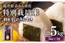 【先行予約】【令和7年産】化学肥料不使用 特別栽培米 虹のきらめき 精米 5kg / 白米 米 福井県あわら市産 美味しい 特別栽培米 減農薬 安心な米 旨味 甘み もっちり 冷蔵保管米 ※2025年9月下旬より順次発送 [aw010-a013]