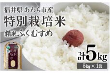 【先行予約】【令和7年産】化学肥料不使用 特別栽培米 ふくむすめ 精米 5kg / 白米 米 福井県あわら市産 美味しい 特別栽培米 減農薬 安心な米 旨味 甘み もっちり 冷蔵保管米 ※2025年9月下旬より順次発送 [aw010-a011]