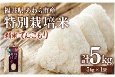 【先行予約】【令和7年産】化学肥料不使用 特別栽培米 てんこもり 精米 5kg / 白米 米 福井県あわら市産 美味しい 特別栽培米 減農薬 安心な米 旨味 甘み もっちり 冷蔵保管米 ※2025年9月下旬より順次発送 [aw010-a009]