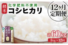 【先行予約】【令和7年産】定期便 ≪12ヶ月連続お届け≫  化学肥料不使用 特別栽培米 コシヒカリ 精米 5kg × 12回（合計60kg） / 白米 米 福井県あわら市産 美味しい 特別栽培米 減農薬 安心な米 旨味 甘み もっちり 冷蔵保管米 ※2025年10月上旬より順次発送 [aw010-k002]