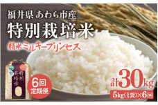 【先行予約】【令和7年産】定期便 ≪6ヶ月連続お届け≫ 化学肥料不使用 特別栽培米 ミルキープリンセス 精米 5kg × 6回（合計30kg） / 白米 米 福井県あわら市産 美味しい 特別栽培米 減農薬 安心な米 旨味 甘み もっちり 冷蔵保管米 ※2025年10月上旬より順次発送 [aw010-g002]