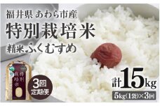 【先行予約】【令和7年産】定期便 ≪3ヶ月連続お届け≫ 化学肥料不使用 特別栽培米 ふくむすめ 精米 5kg × 3回（合計15kg） / 白米 米 福井県あわら市産 美味しい 特別栽培米 減農薬 安心な米 旨味 甘み もっちり 冷蔵保管米 ※2025年10月上旬より順次発送 [aw010-c005]