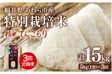 【先行予約】【令和7年産】定期便 ≪3ヶ月連続お届け≫ 化学肥料不使用 特別栽培米 てんこもり 精米 5kg × 3回（合計15kg） / 白米 米 福井県あわら市産 美味しい 特別栽培米 減農薬 安心な米 旨味 甘み もっちり 冷蔵保管米 ※2025年10月上旬より順次発送 [aw010-c003]