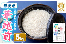 【先行予約】【令和7年産】 華越前  無洗米 5kg / 米 5キロ ハナエチゼン はなえちぜん 北陸 福井県産 あわら市 ブランド米 白米 お米 コメ こめ kome ※2025年9月上旬以降順次発送 [aw056-a023]
