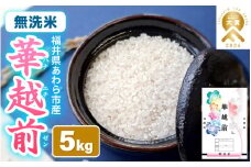 【先行予約】【令和7年産】 華越前  無洗米 5kg / 米 5キロ ハナエチゼン はなえちぜん 北陸 福井県産 あわら市 ブランド米 白米 お米 コメ こめ kome ※2025年9月上旬以降順次発送 [aw056-a023]