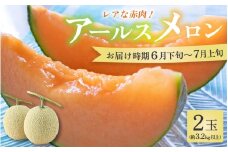 【先行予約】【赤肉】アールスメロン 2玉（約3.2kg以上）赤肉品種 高級メロン！ ／ マスクメロン 大玉 果物 フルーツ 夏 ギフト 農家直送 ※2026年6月下旬以降順次発送 [aw065-a012]