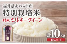 【先行予約】【令和7年産】化学肥料不使用 特別栽培米 ミルキークイーン 精米 10kg × 1袋 / 白米 米 福井県あわら市産 美味しい 特別栽培米 減農薬 安心な米 旨味 甘み もっちり 冷蔵保管米 ※2025年9月下旬より順次発送 [aw010-b006]