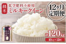 【先行予約】【令和7年産】定期便 ≪12ヶ月連続お届け≫  化学肥料不使用 特別栽培米 ミルキークイーン 精米 10kg × 12回（合計120kg） / 白米 米 福井県あわら市産 美味しい 特別栽培米 減農薬 安心な米 旨味 甘み もっちり 冷蔵保管米 ※2025年10月上旬より順次発送 [aw010-p003]