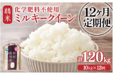 【令和7年産】定期便 ≪12ヶ月連続お届け≫  化学肥料不使用 特別栽培米 ミルキークイーン 精米 10kg × 12回（合計120kg） / 白米 米 福井県あわら市産 美味しい 特別栽培米 減農薬 安心な米 旨味 甘み もっちり 冷蔵保管米 [aw010-p003]