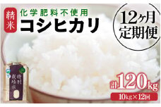 【先行予約】【令和7年産】定期便 ≪12ヶ月連続お届け≫  化学肥料不使用 特別栽培米 コシヒカリ 精米 10kg × 12回（合計120kg） / 白米 米 福井県あわら市産 美味しい 特別栽培米 減農薬 安心な米 旨味 甘み もっちり 冷蔵保管米 ※2025年10月上旬より順次発送 [aw010-p002]