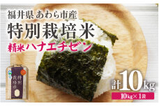 【先行予約】【令和7年産 新米】 化学肥料不使用ハナエチゼン 精米 10kg × 1袋　/ 米 白米 福井県あわら市産 ブランド米 美味しい 特別栽培米 減農薬 安心な米 旨味 甘み エコファーマー 冷蔵保管米 ※2025年9月上旬より順次発送 [aw010-b003]