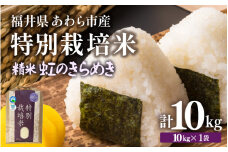 【先行予約】【令和7年産】化学肥料不使用 特別栽培米 虹のきらめき 精米 10kg × 1袋 / 白米 米 福井県あわら市産 美味しい 特別栽培米 減農薬 安心な米 旨味 甘み もっちり 冷蔵保管米 ※2025年9月下旬より順次発送 [aw010-b008]