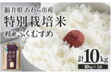 【先行予約】【令和7年産】化学肥料不使用 特別栽培米 ふくむすめ 精米 10kg × 1袋 / 白米 米 福井県あわら市産 美味しい 特別栽培米 減農薬 安心な米 旨味 甘み もっちり 冷蔵保管米 ※2025年9月下旬より順次発送 [aw010-b005]